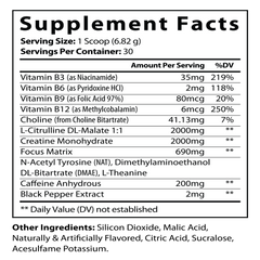 Nitric Shock Pre-Workout (Fruit Punch)