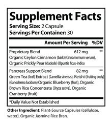 Pancreas Support Plus