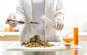 A lab technicial conducting an experiment